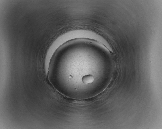 X0000112160417200908211438