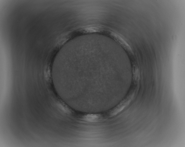 X0000112160418200908211438