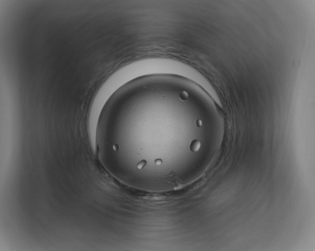 X0000112160419200908211438