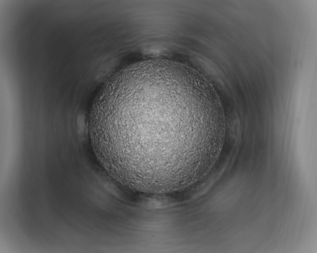 X0000112160420200908211438