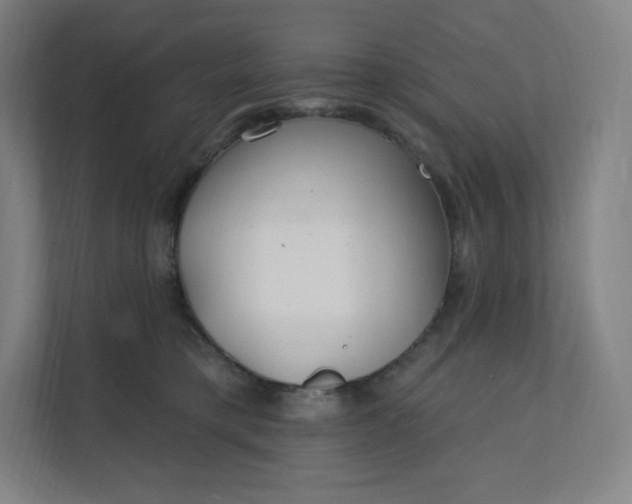 X0000112160421200908211438