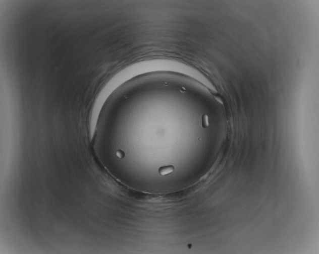 X0000112160423200908211438