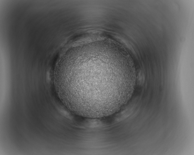 X0000112160424200908211438