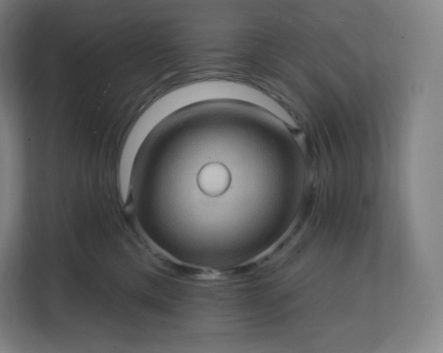 X0000112160425200908211438