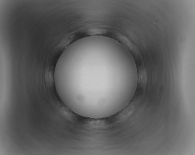 X0000112160426200908211438