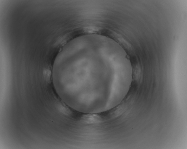 X0000112160427200908211438