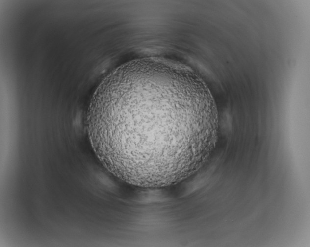 X0000112160428200908211438