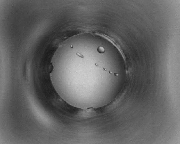 X0000112160429200908211438