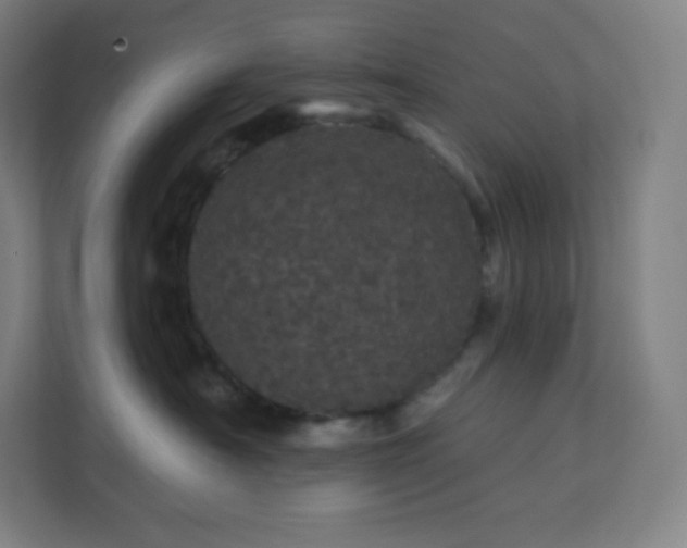 X0000112160430200908211438