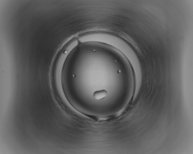 X0000112160436200908211437