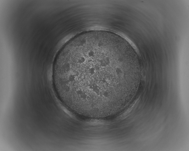 X0000112160437200908211437