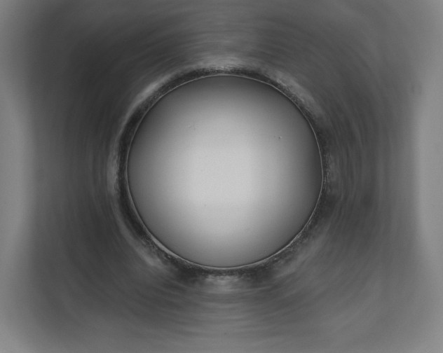 X0000112160440200908211437
