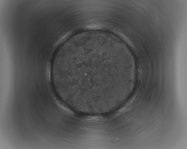 X0000112160446200908211437