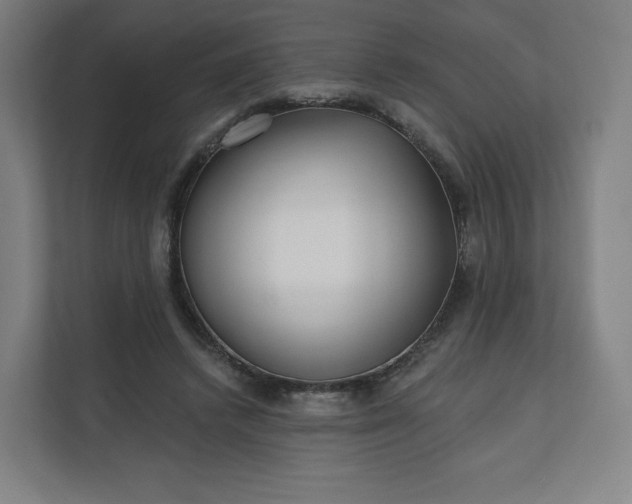 X0000112160448200908211437