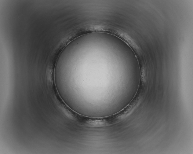 X0000112160449200908211437