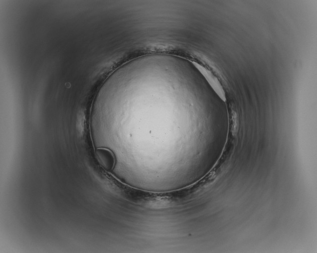 X0000112160451200908211437