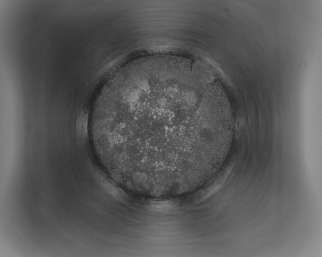 X0000112160454200908211437