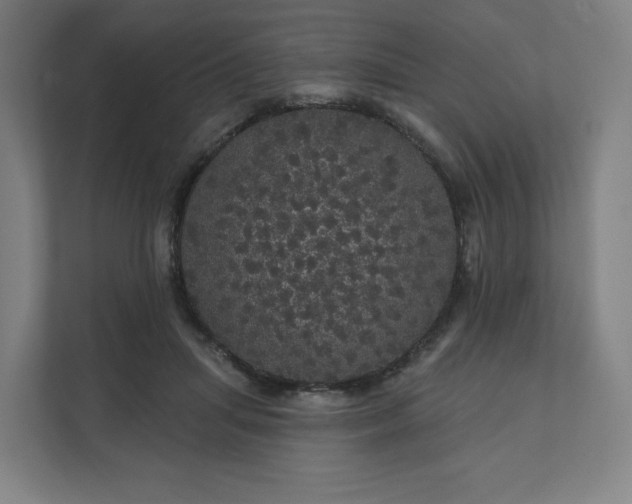 X0000112160455200908211437