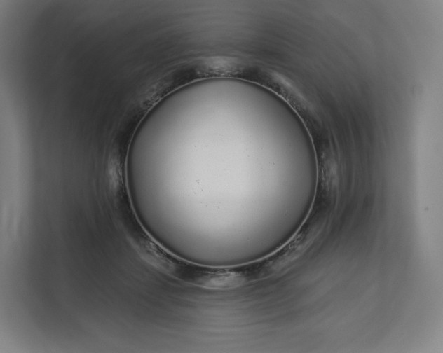 X0000112160459200908211438