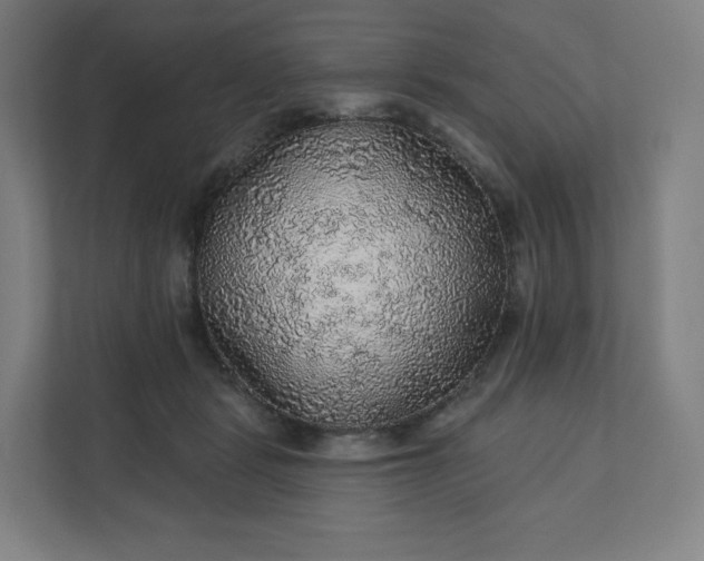 X0000112160461200908211438