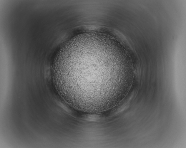 X0000112160462200908211438