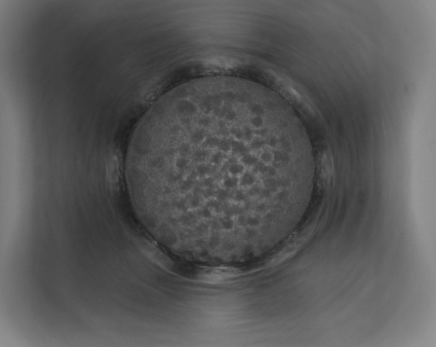 X0000112160463200908211438