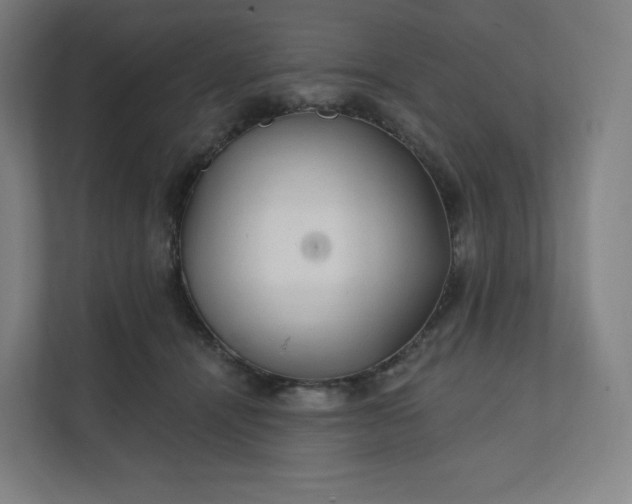 X0000112160464200908211438