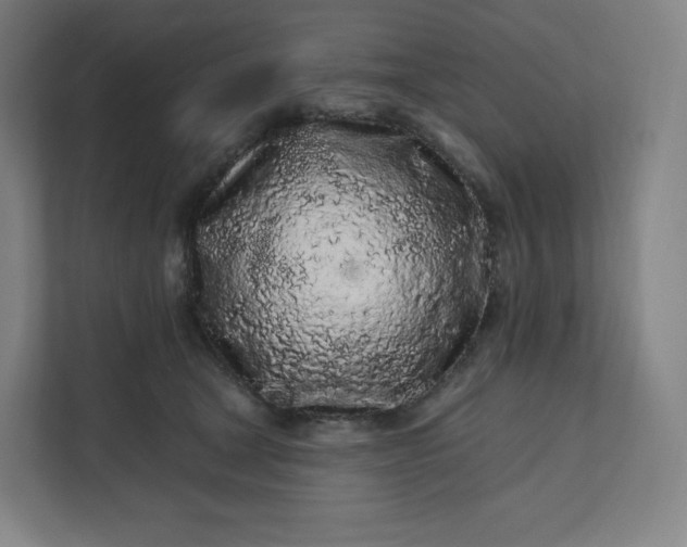 X0000112160465200908211438