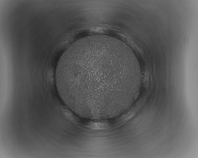 X0000112160466200908211438