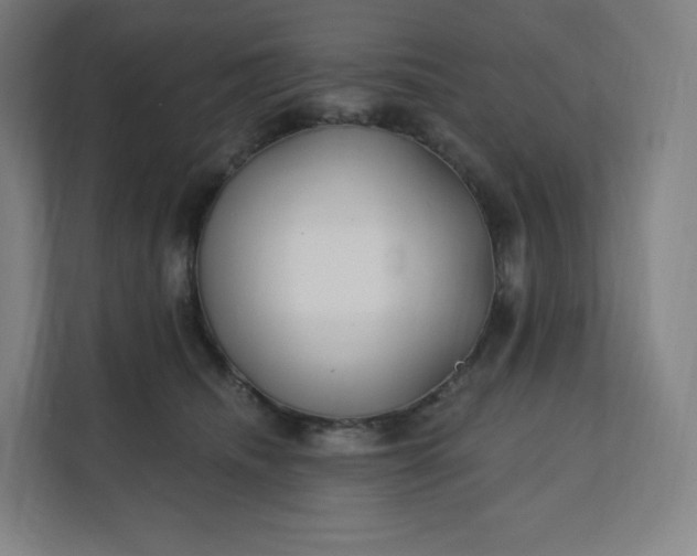 X0000112160468200908211438