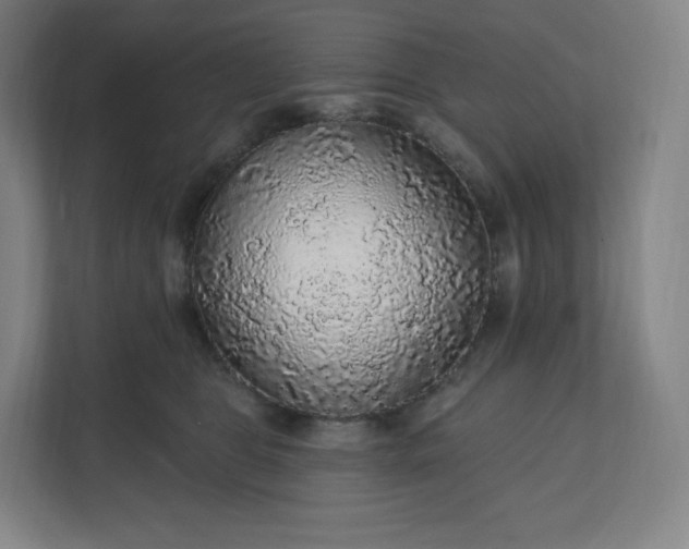 X0000112160469200908211438