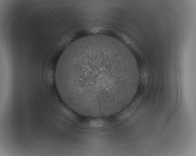 X0000112160470200908211438