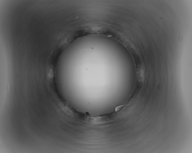 X0000112160472200908211438