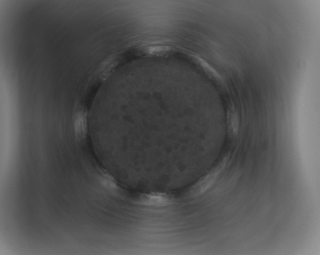 X0000112160475200908211438