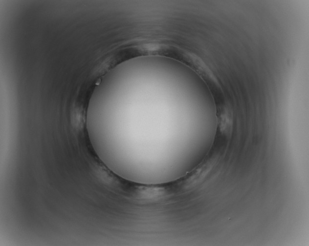 X0000112160476200908211438