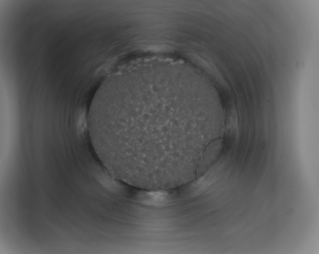 X0000112160478200908211438