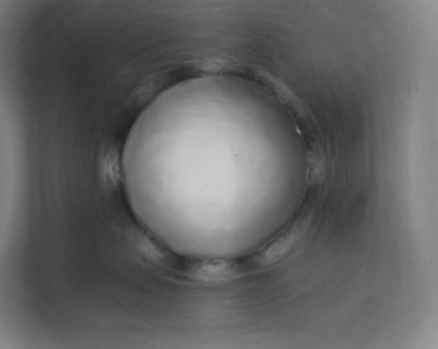 X0000112160479200908211438