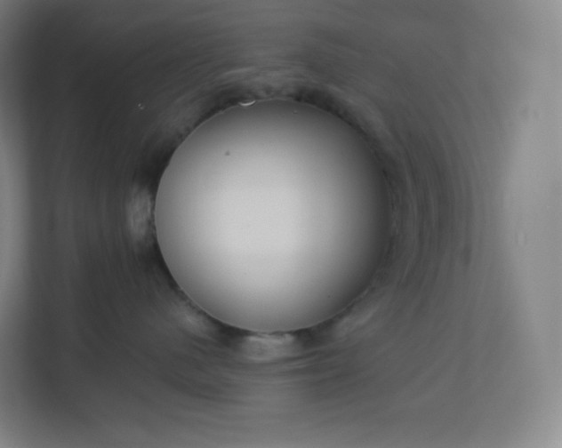 X0000112160480200908211438