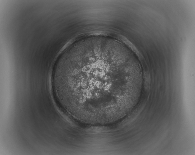 X0000112160482200908211437