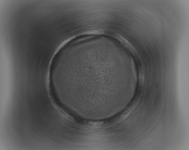 X0000112160484200908211437