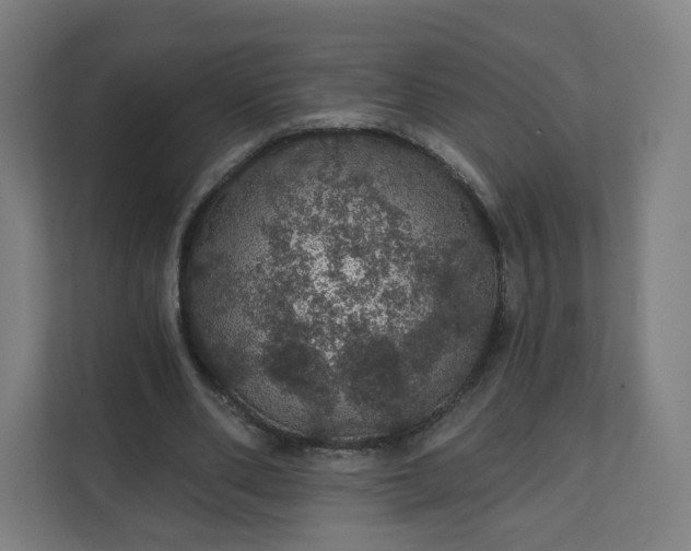 X0000112160486200908211437