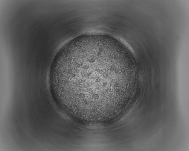 X0000112160487200908211437