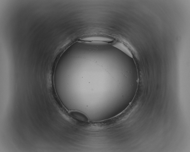 X0000112160489200908211437