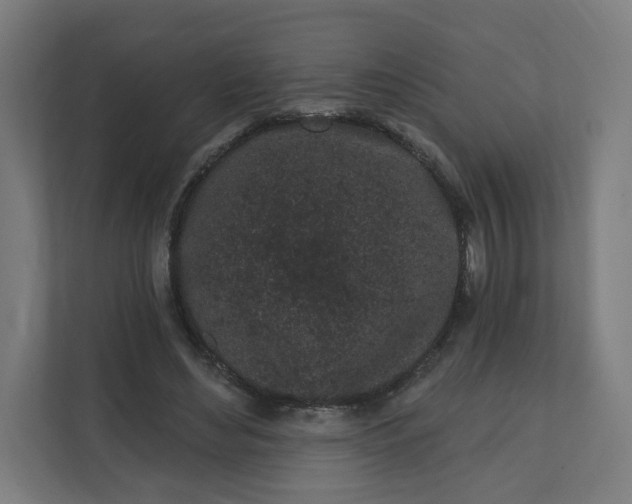 X0000112160492200908211437