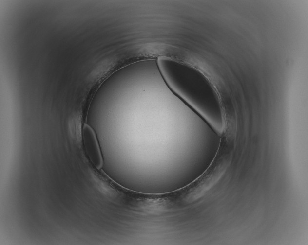 X0000112160493200908211437