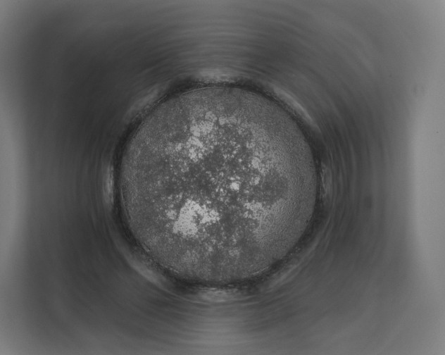 X0000112160494200908211437