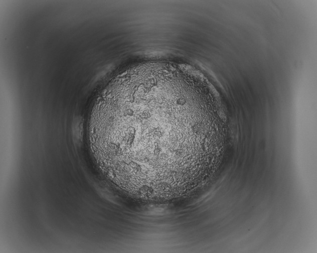 X0000112160495200908211437