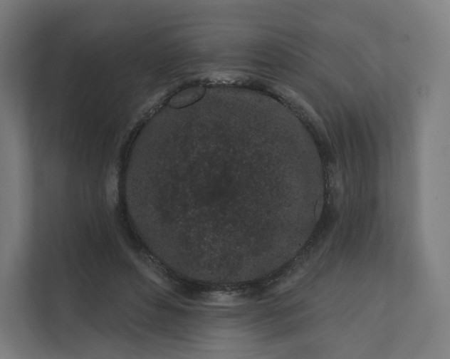 X0000112160496200908211437