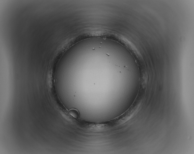 X0000112160497200908211437