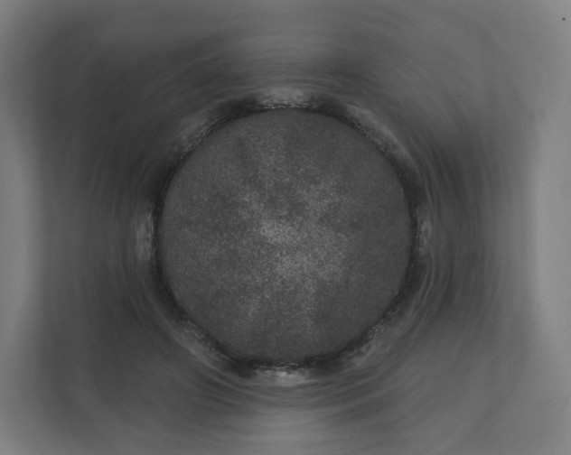 X0000112160498200908211437